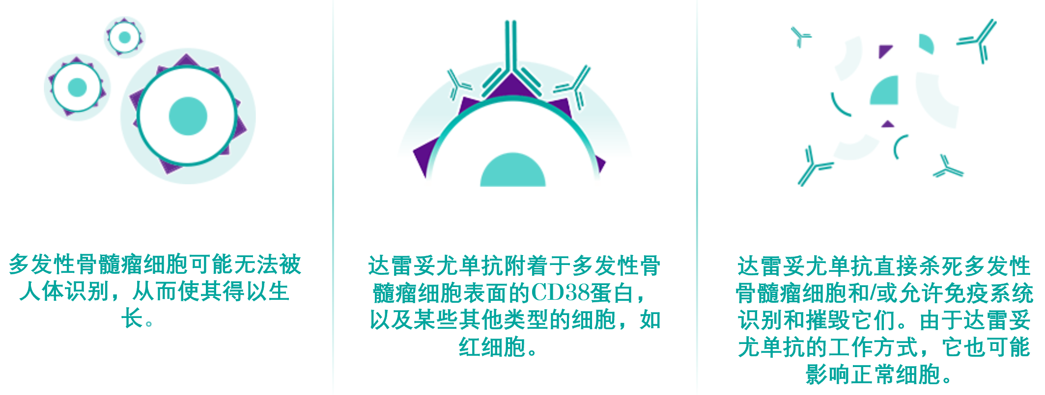 了解兆珂速（DARZALEX FASPRO）背后的科学