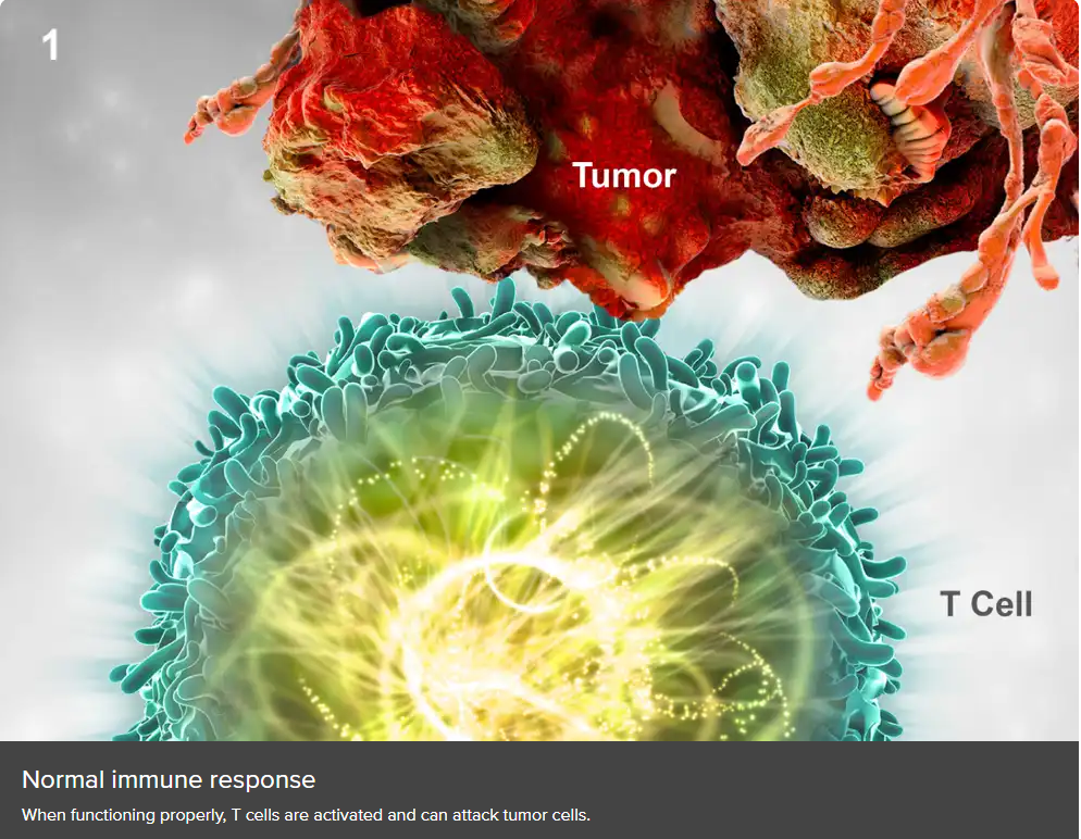 帕博利珠单抗(pembrolizumab/Keytruda)作用原理