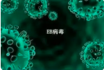 【临床试验】NIH启动EB病毒疫苗临床试验