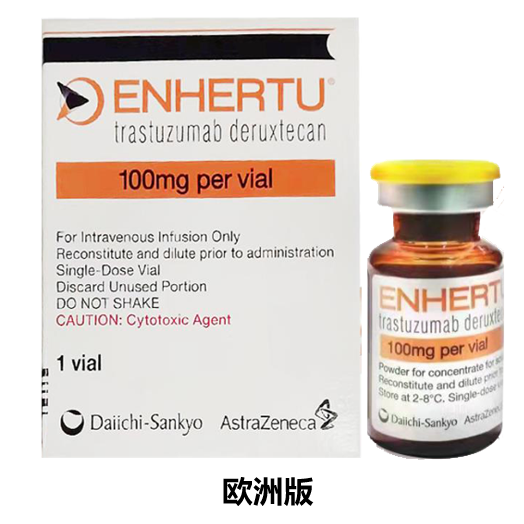 德曲妥珠单抗 （Fam-trastuzumab deruxtecan-nxki）-Enhertu