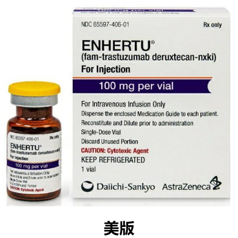 德曲妥珠单抗 （Fam-trastuzumab deruxtecan-nxki）-Enhertu