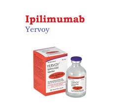伊匹木单抗（lpilimumab）的作用