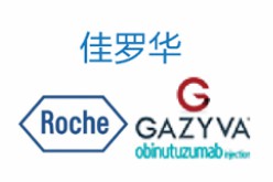 奥妥珠单抗（Obinutuzumab）上市了吗？