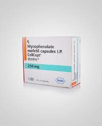 吗替麦考酚酯分散片（Mycophenolate）的作用