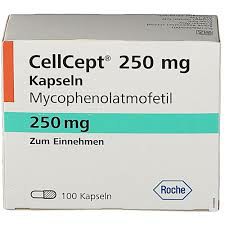 吗替麦考酚酯（Mycophenolate）治疗蛋白尿要吃多久？