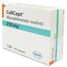 吗替麦考酚酯（Mycophenolate）最长可以吃多久？