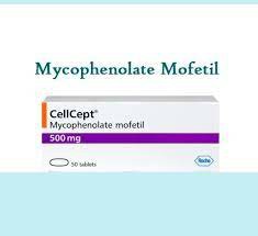 泼尼松片和吗替麦考酚酯（Mycophenolate）能一起吃吗？