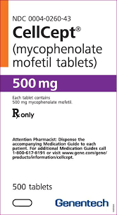 吗替麦考酚酯（Mycophenolate）的疗效怎么样？