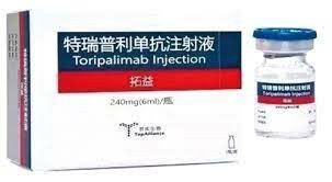 特瑞普利单抗（Toripalimab）是靶向还是免疫治疗