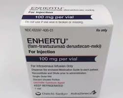 德曲妥珠单抗（Fam-trastuzumab deruxtecan-nxki）是什么药
