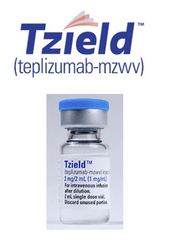 替普利珠单抗（teplizumab-mzwv）的作用与功效