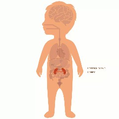 儿童神经母细胞瘤的发病率高吗？