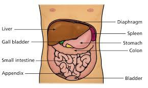 腹膜癌晚期能活多久？