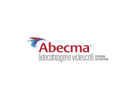 艾基维仑赛（Idecabtagene vicleucel）的使用剂量以及用药方法