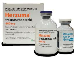 trastuzumab-pkrb在治疗期间的使用方式和注意事项有哪些？