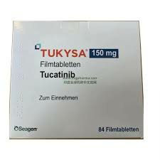 图卡替尼/妥卡替尼和8201的对比分析