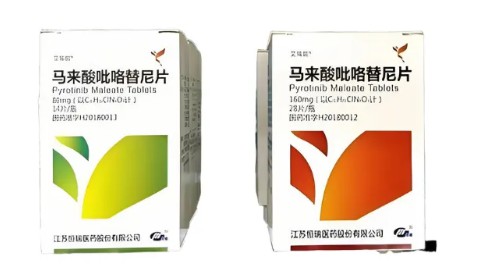 吡咯替尼/艾瑞妮说明书核心要点解析