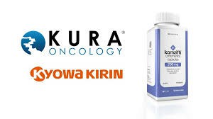 齐妥美尼布（ziftomenib）-Komzifti的说明书中文简介