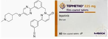 特泊替尼/拓得康的药理作用机制详解