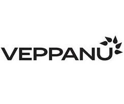 Veppanu（vepdegestrant）的作用机制与治疗效果