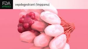 Veppanu（vepdegestrant）的副作用以及注意事项
