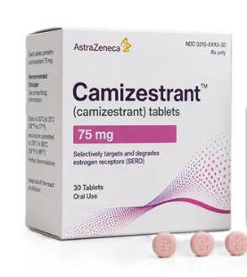 Etcamah（camizestrant）的用药方法及使用剂量